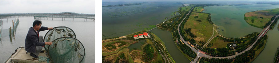 ��Ʒзҵ��ֳ����