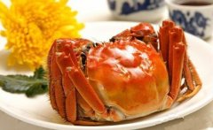 ���ӡ������̸��ȫ�����Ϊ���κ���բз����